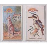 Cigarette cards, Robinson's, Regimental Mascots, 2 cards, nos 16 & 22 (vg) (2)