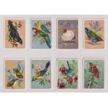 Trade cards, Australia, Tuckfield's Australiana Series - Birds, nos 1-128 (127/128, missing no 77, a