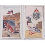 Cigarette cards, Robinson's, Regimental Mascots, 2 cards, nos 14 & 15 (vg) (2)