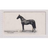 Cigarette card, Taddy, Famous Horses & Cattle, No 11, Thoroughbred Stallion, 'Cyllene' (vg) (1)