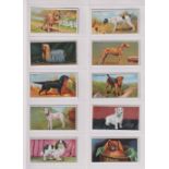 Cigarette cards, Major Drapkin & Co, Dogs & their Treatment (set, 15 cards) (vg)