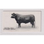 Cigarette card, Taddy, Famous Horses & Cattle, No 4, Red Poll Bull, 'Letton Vanity Davyson' (vg) (1)