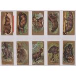 Cigarette cards, USA, Kinney, Animals (set, 25 cards) (mostly gd/vg)