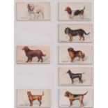 Cigarette cards, USA, Goodwin's, Dogs of the World (Captions front & back) (42/50, missing Bull