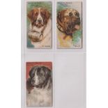 Trade cards, Spratt's, Prize Dogs, three cards, no 3 Newfoundland (slightly trimmed to bottom edge),