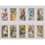 Trade cards, Brooke Bond, Bird Portraits (With address) (set, 50 cards, gd), (No address, 18/50, a