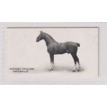 Cigarette card, Taddy, Famous Horses & Cattle, No 29, Hackney Stallion, 'Antonius' (vg) (1)