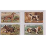 Trade cards, Spratt's, Prize Dogs, four cards, no 1 Irish Setter, no 4 Bassett, no 10 Fox