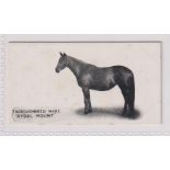 Cigarette card, Taddy, Famous Horses & Cattle, No 3, Duke of Westminster's Thoroughbred Mare '