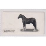 Cigarette card, Taddy, Famous Horses & Cattle, No 49, Clydesdale Stallion, 'Bonny Buchlyvie' (vg) (