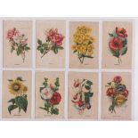 Tobacco silks, Westminster Tobacco Co, Garden Flowers of the World, 'M' size (set, 50 silks) (1
