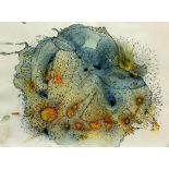 ISOBEL FERRER Rockpool Abstract Ink and watercolour Signed 42.5 x 59cm (rip to corner)