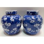 A good pair of blue and white ginger jars and covers, decorated with prunus blossoming branches on