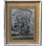 DONALD GREIG (1916-2009) Trees at Woodleigh Mill Watercolour Signed Artist's label to reverse 47 x