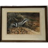 DAVID PARRY (b. 1942) Badgers In Their Set Watercolour Signed 35 x 53cm