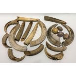 Collection of hippopotamus tusks and cowrie shells