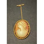 A 9ct. hallmarked gold mounted shell cameo, 35 x 27mm.