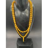A butterscotch amber bead double row necklace with long drop amber bead pendant, length 62cm, weight