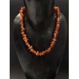 A raw amber bead necklace with sterling silver clasp, length 46cm, weight 20.2g approx.