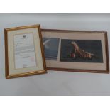 Two signed, framed and glazed Concorde photographs with signatures of past captains, together with a