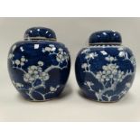 Two Chinese blue and white prunus blossom ginger jars and covers, height 15cm.