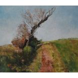 PAM ENTWISTLE (XX) The Windswept Tree Oil on canvas Signed and inscribed on label to verso 50 x