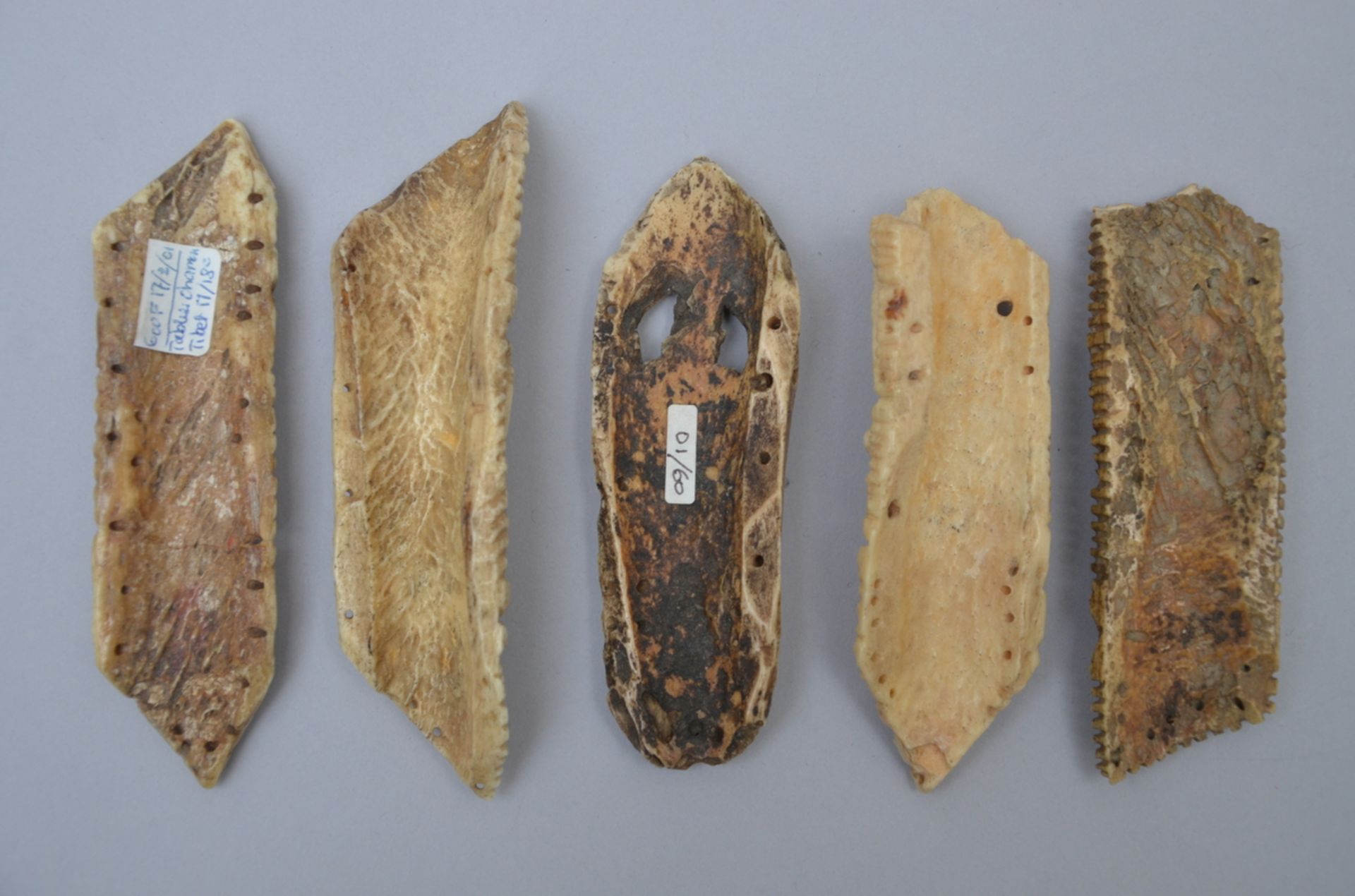 Lot: 5 sculpted elements in bone of a tantric bone apron, Tibet (size 10.5-12 cm) - Image 2 of 5