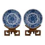 PAIR OF CHINESE BLUE AND WHITE PORCELAIN DISHES, 18/19th CENTURY