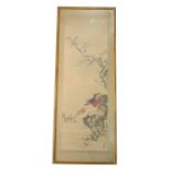 A CHINESE WATERCOLOUR PAINTING ON SILK OF GOLDEN PHEASANTS UNDER CHERRY BLOSSOM TREE,