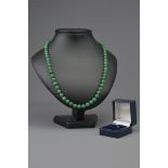 A VINTAGE CHINESE GRADUATED JADE BEAD NECKLACE WITH SILVER CLASP
