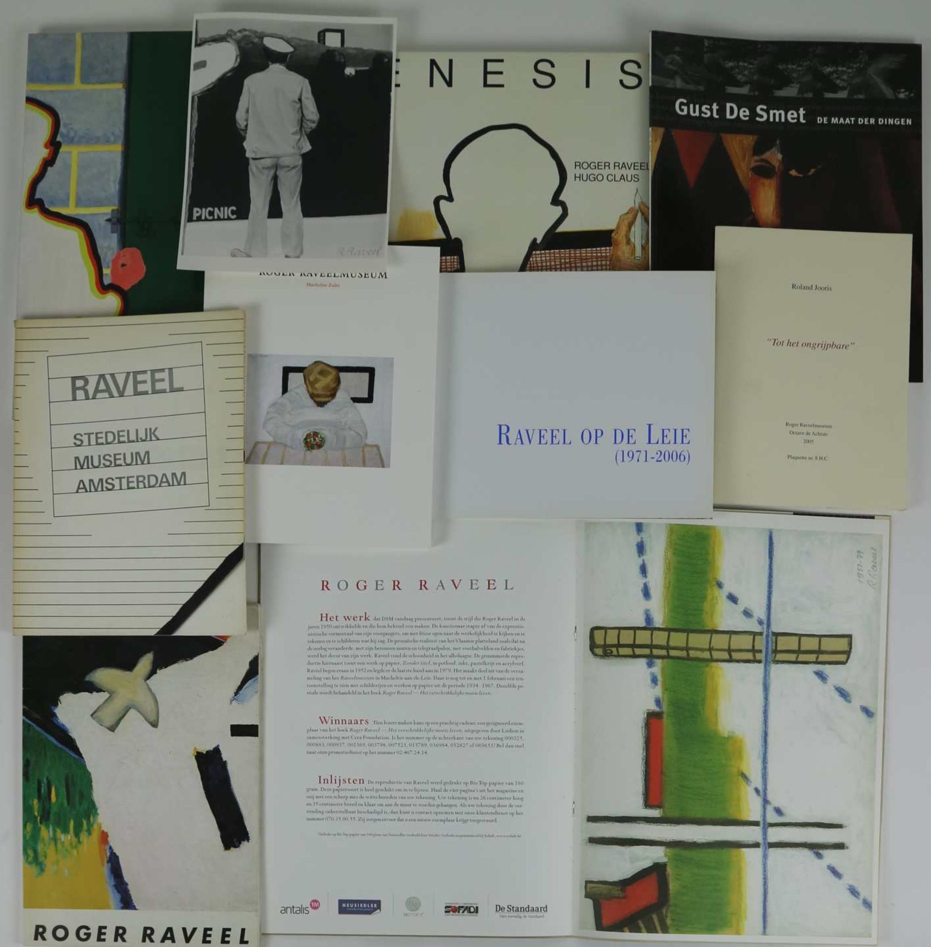 Lot of art books about Roger Raveel (1921-2013)