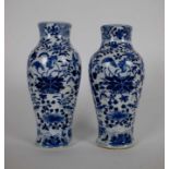A pair of 2 Kangxi vases