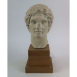 Plaster Alexander The Great