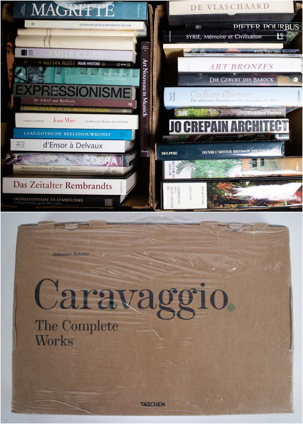 Lot with various art books and Caravaggio