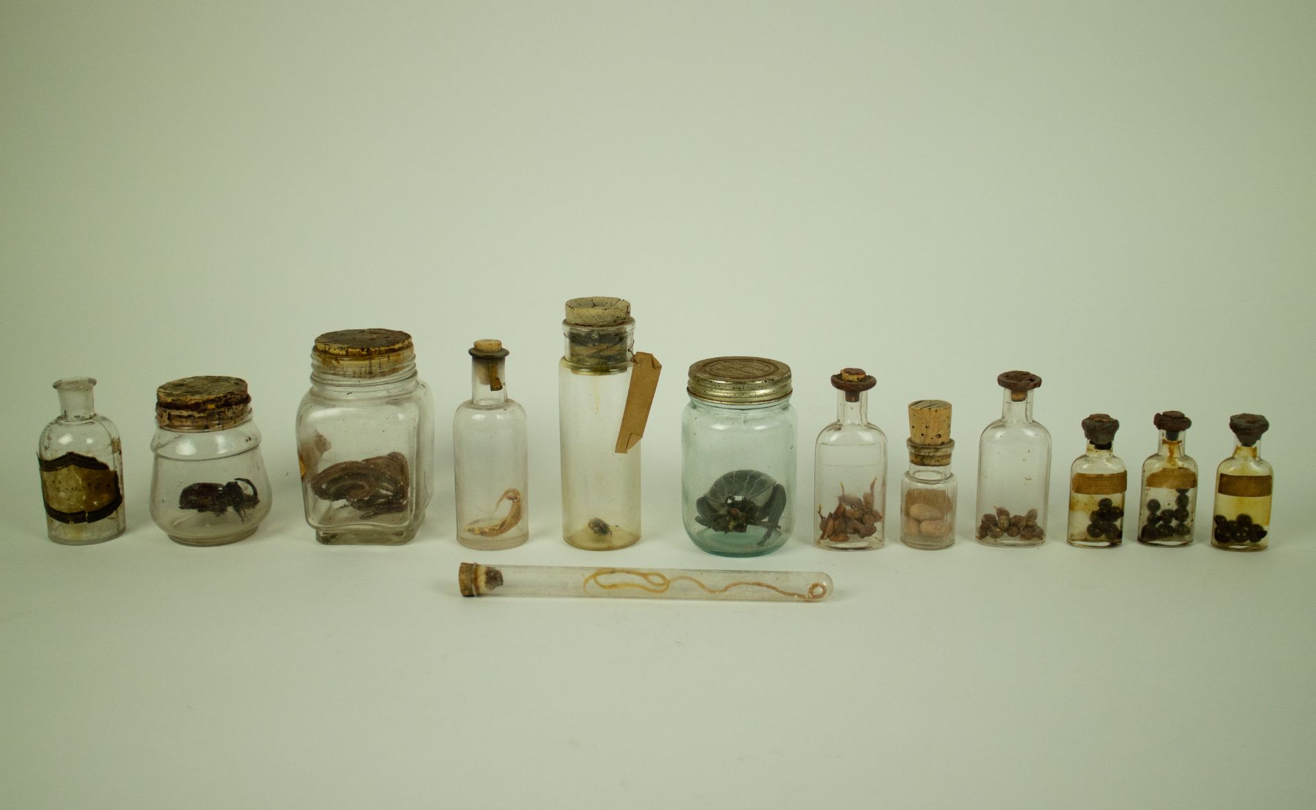 Collection with animals and animal dolls in glass jars