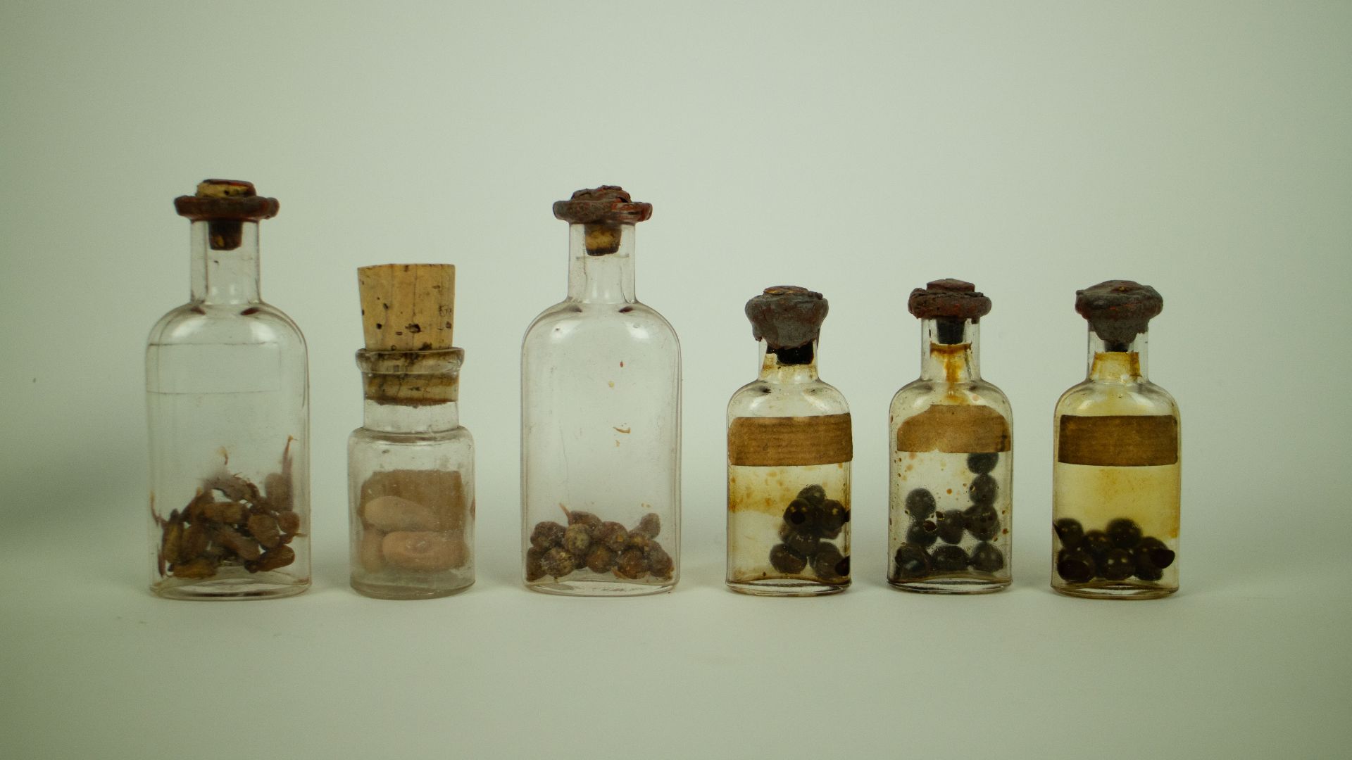 Collection with animals and animal dolls in glass jars - Image 2 of 3