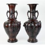 Bronze Japanese vases Meiji