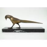 Bronze pheasant