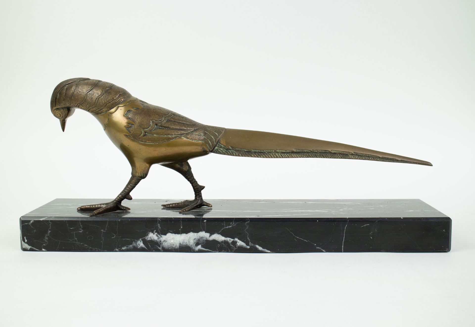 Bronze pheasant