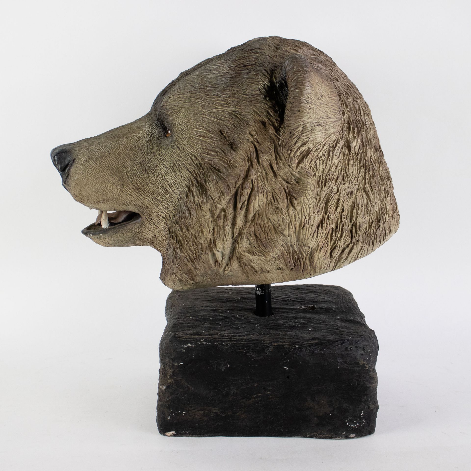 Bear head - Image 2 of 4