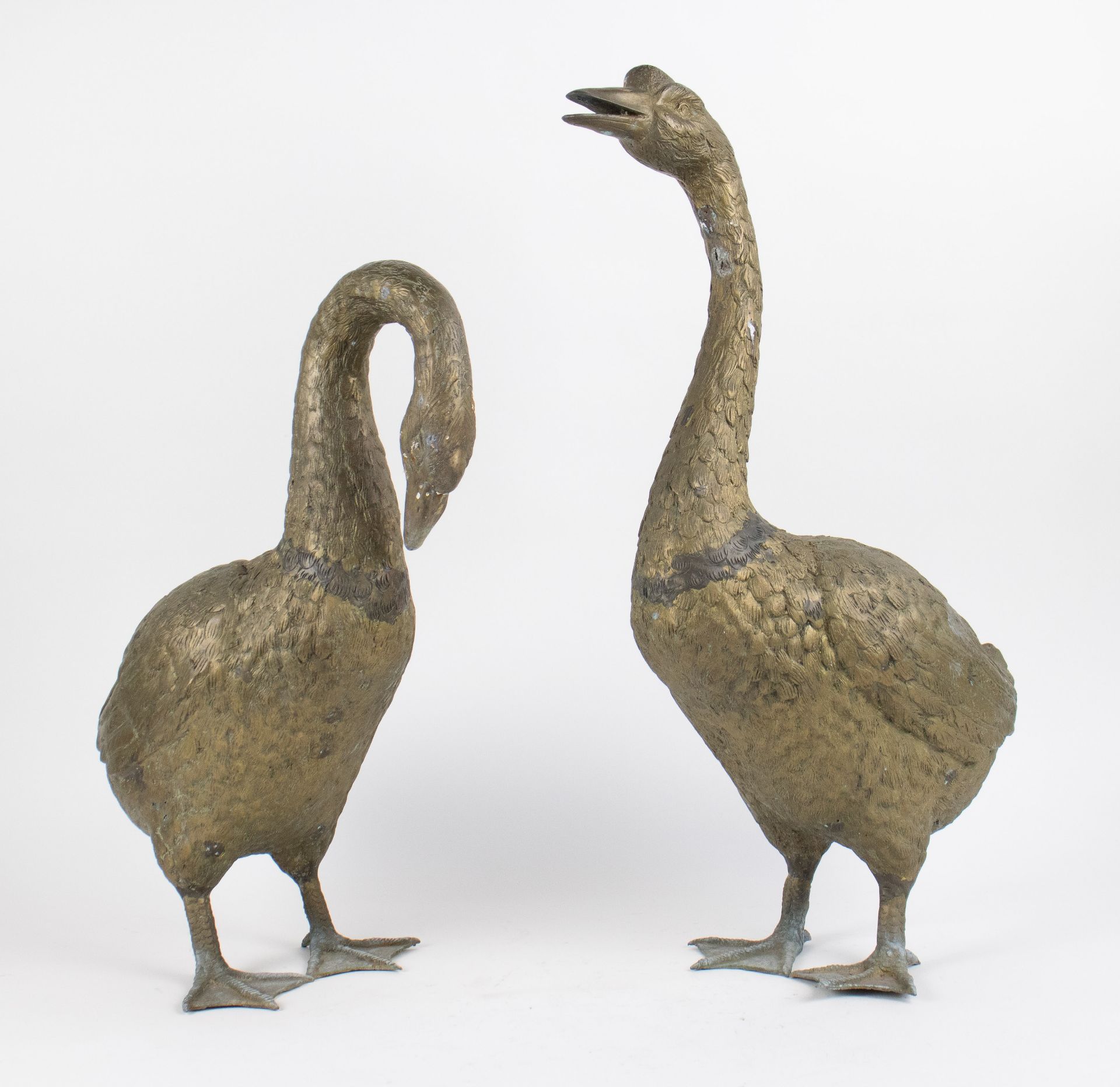 2 bronze gooses