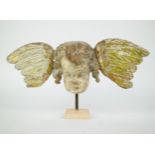 Flemish Baroque angel head in wood with polychromy
