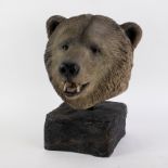 Bear head