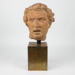A Greek terracotta head