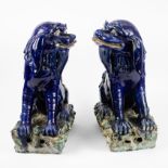 Couple Chinese Foo dogs in glazed ceramics