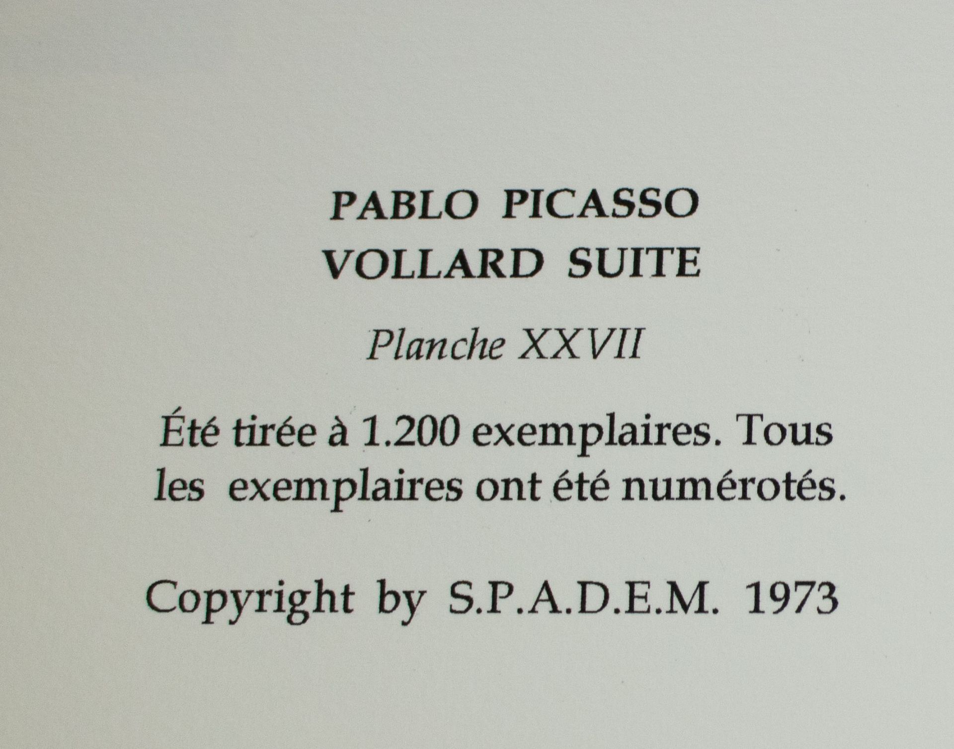 Pablo Picasso etching from the vollard suite - Bild 4 aus 4