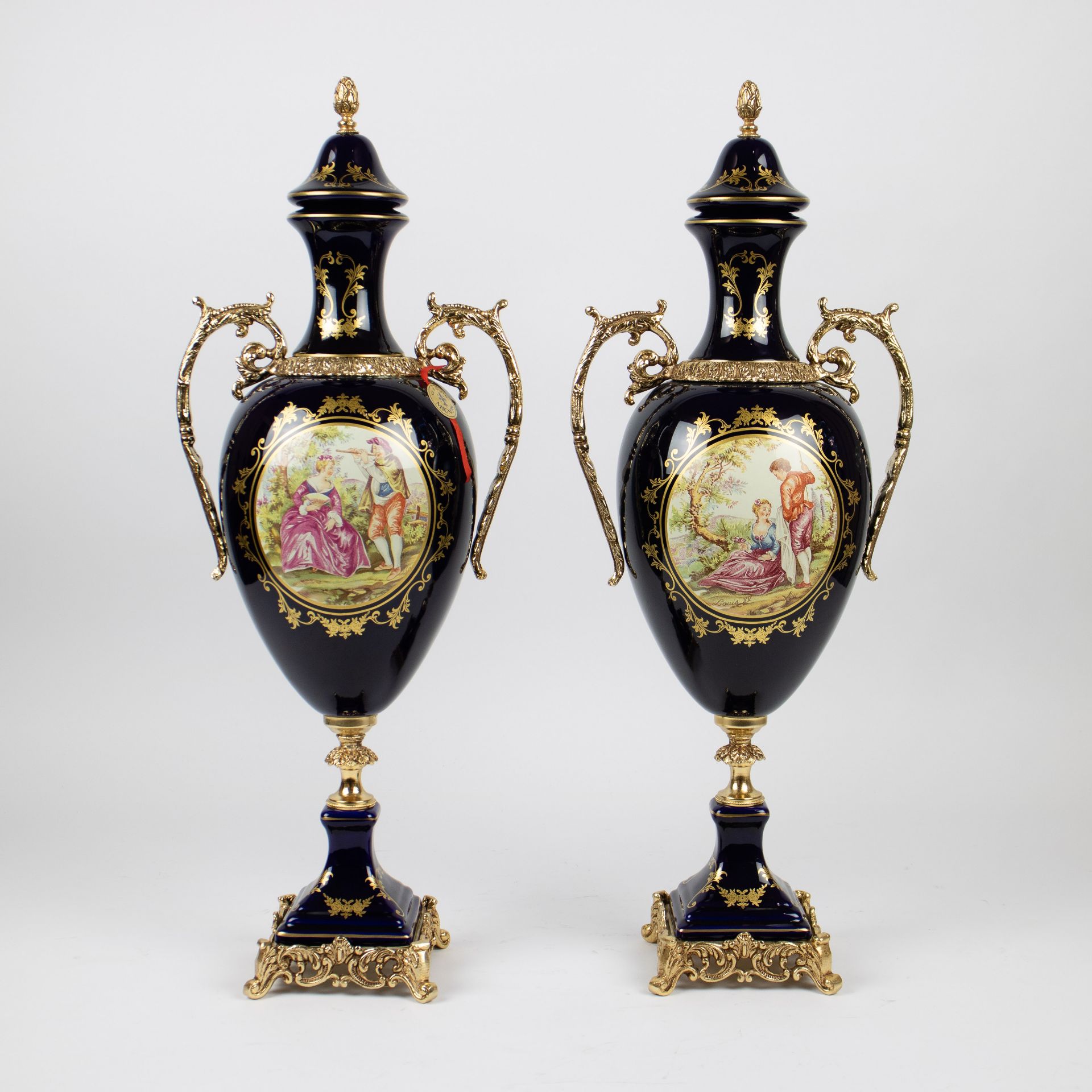 Pair of handpainted Limoges vases