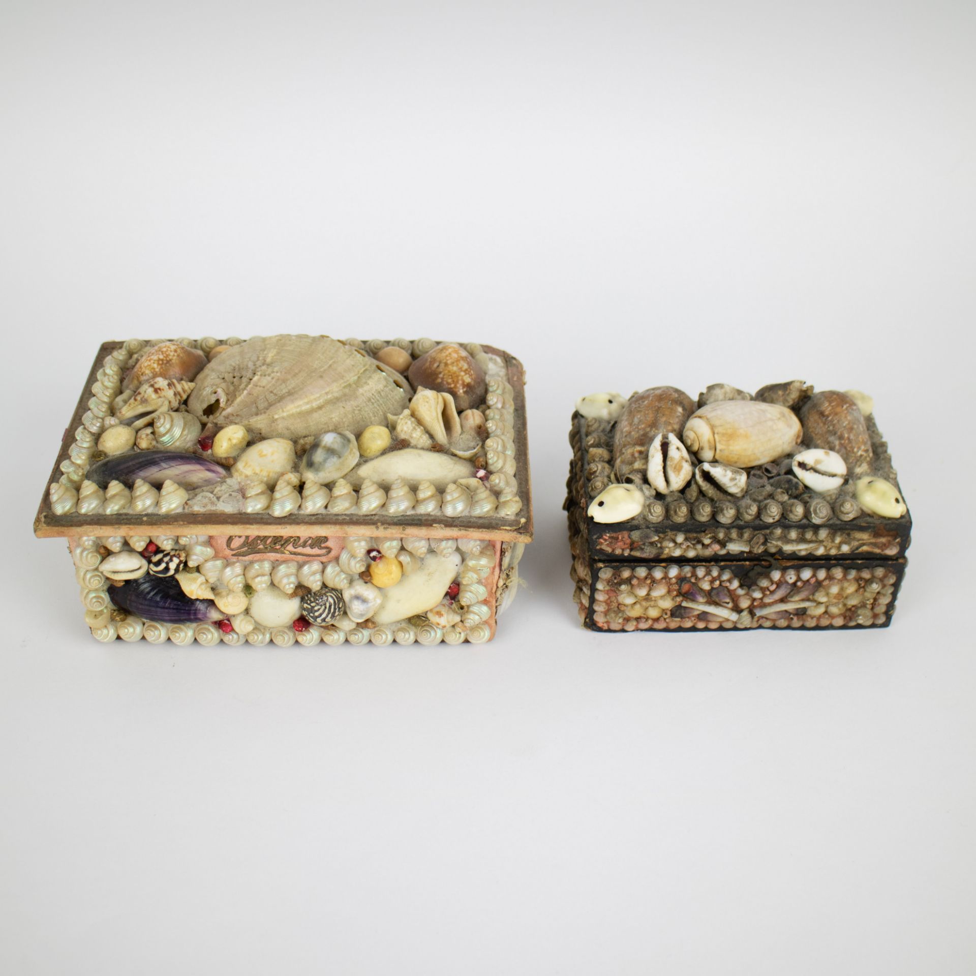 Boxes with shells period Belle Epoque mentions cities on the Flemish coast - Bild 6 aus 7