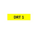 REGISTRATION - DRT 1