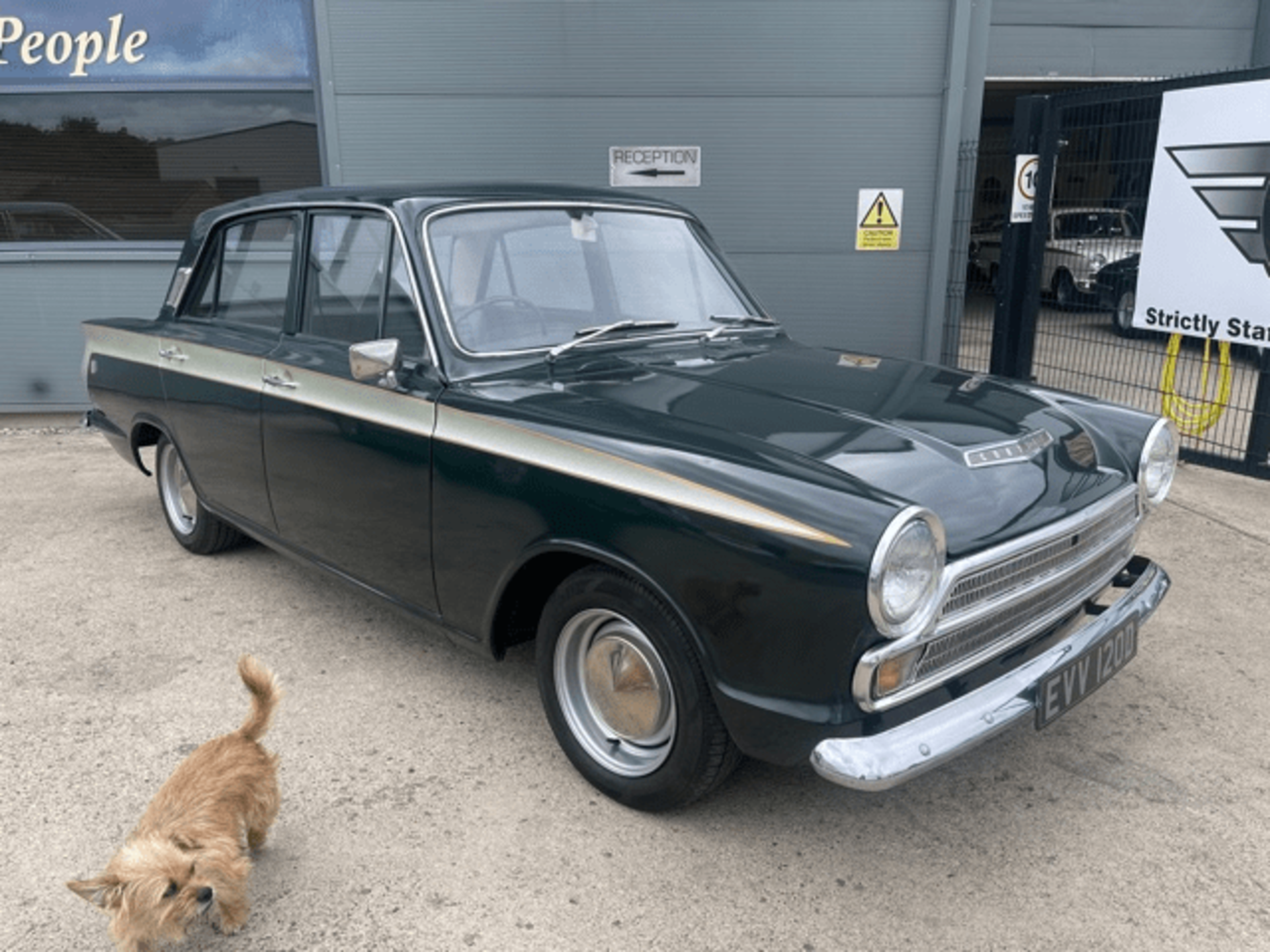 1966 FORD CORTINA MK1 (GT)